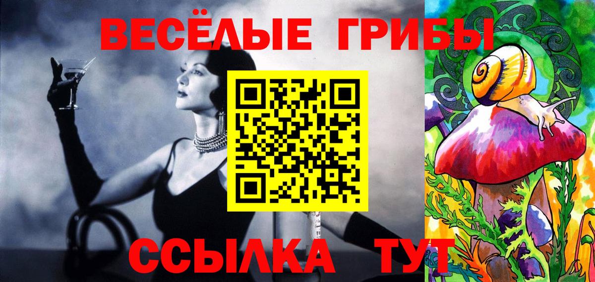 Энгельс  купить закладку  Галлюциногенные грибы GOLDEN TEACHER  Вход с VPN  Псилоцибиновые грибы Psilocybe 